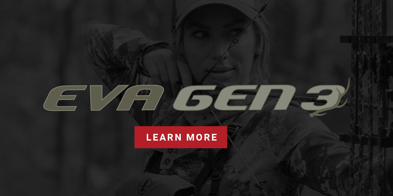 Eva gen 3 banner with learn more button