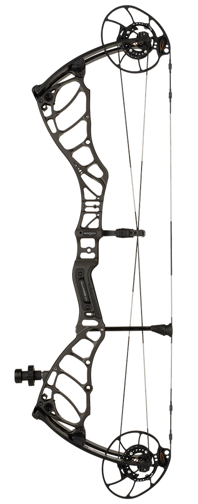 Alliance 33 card image